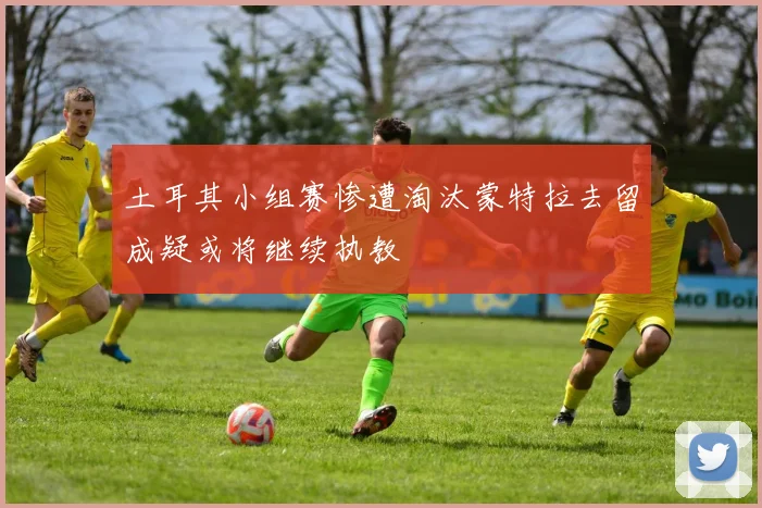 土耳其小组赛惨遭淘汰蒙特拉去留成疑或将继续执教